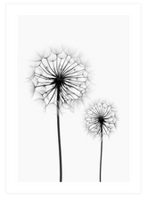 Dandelion N2 - Art Print
